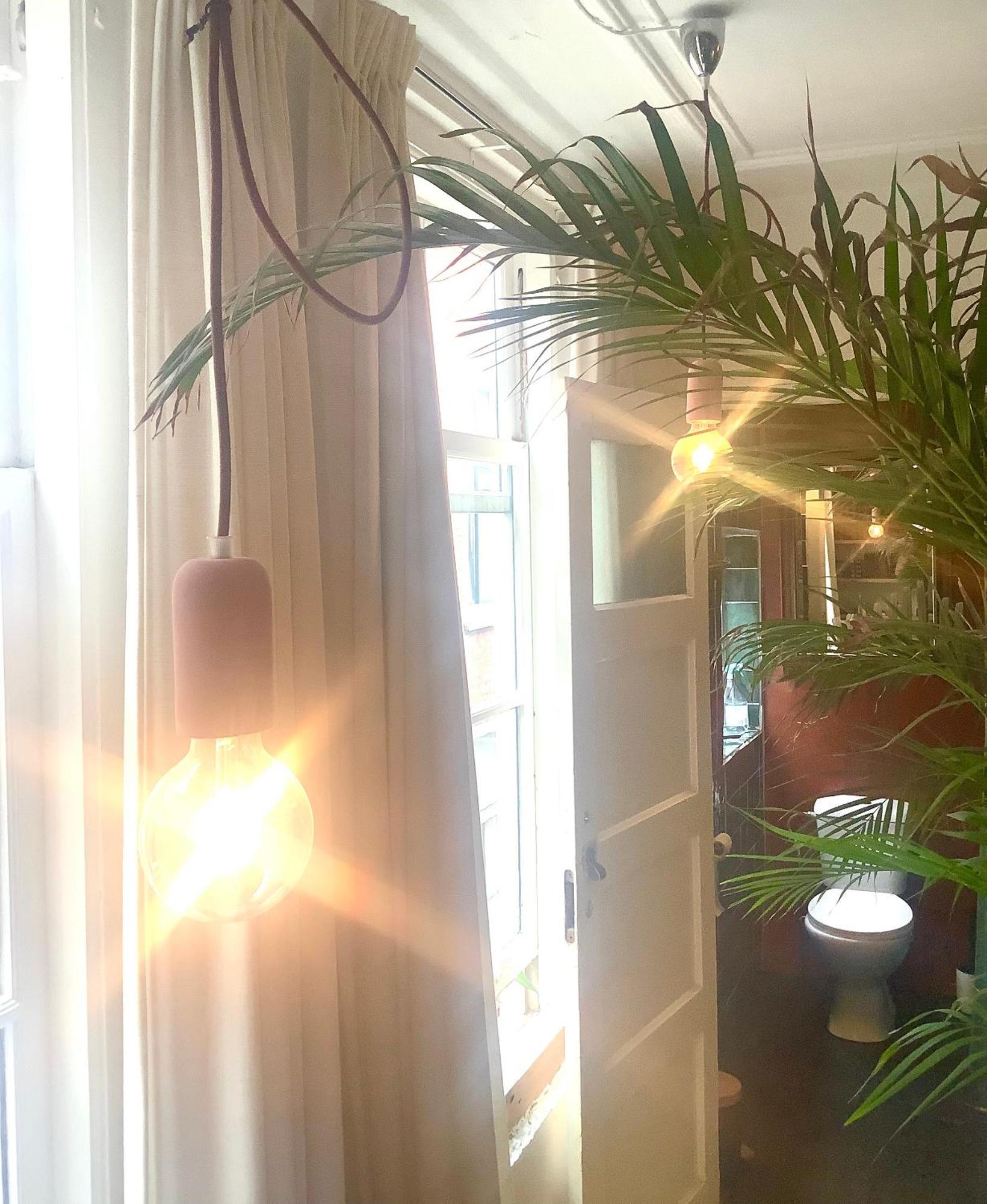 Bookstor Hotel 海牙 外观 照片
